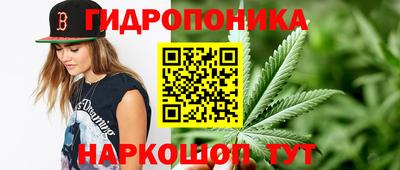 мяу мяу мука Ликино-Дулёво