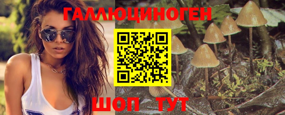 Псилоцибиновые грибы GOLDEN TEACHER  Вход с VPN  закладка  Псилоцибиновые грибы Magic Shrooms  Шебекино 